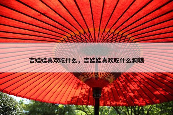 吉娃娃喜欢吃什么，吉娃娃喜欢吃什么狗粮