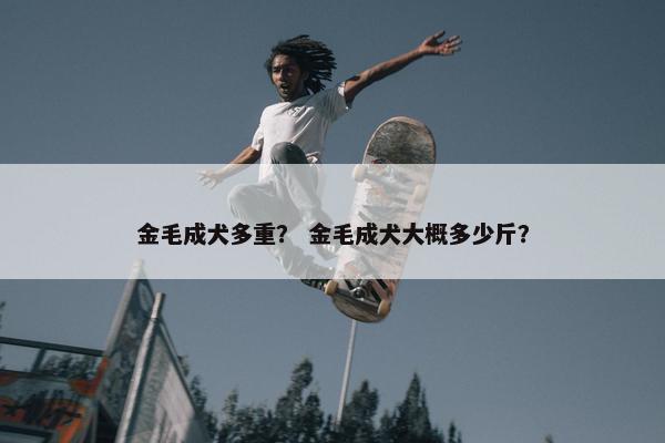 金毛成犬多重？ 金毛成犬大概多少斤？