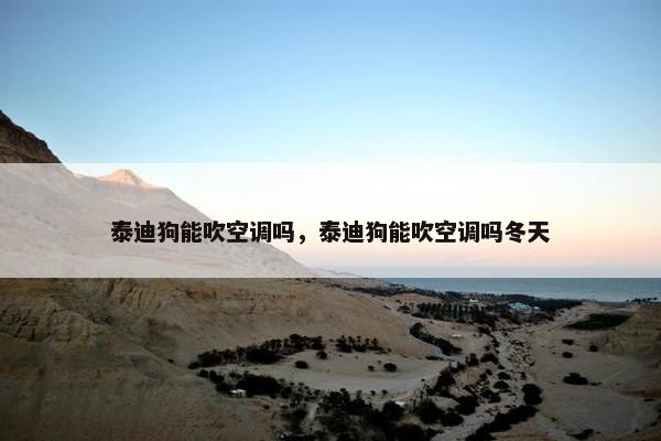 泰迪狗能吹空调吗，泰迪狗能吹空调吗冬天