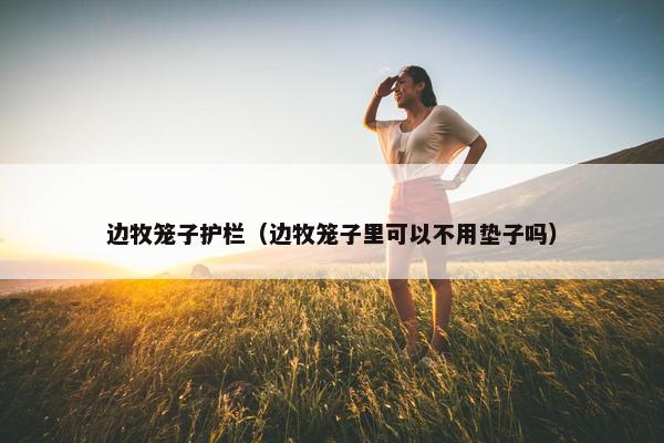 边牧笼子护栏（边牧笼子里可以不用垫子吗）