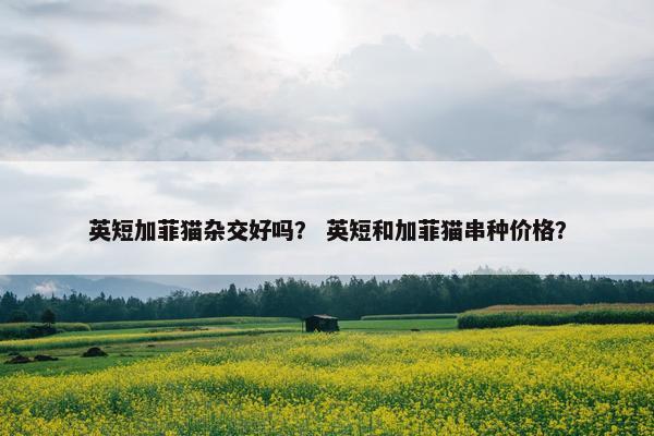 英短加菲猫杂交好吗？ 英短和加菲猫串种价格？