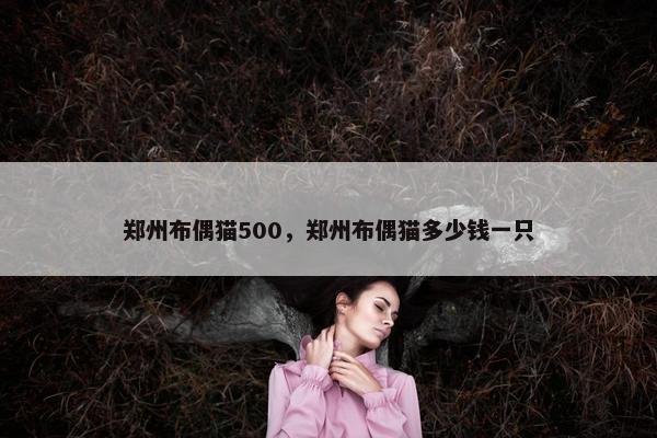 郑州布偶猫500，郑州布偶猫多少钱一只