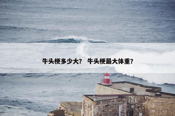 牛头梗多少大？ 牛头梗最大体重？