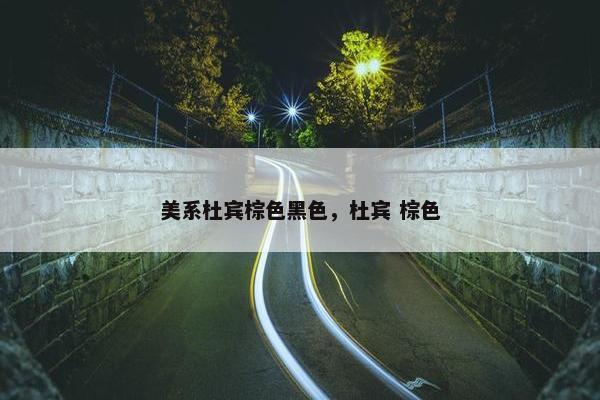 美系杜宾棕色黑色，杜宾 棕色