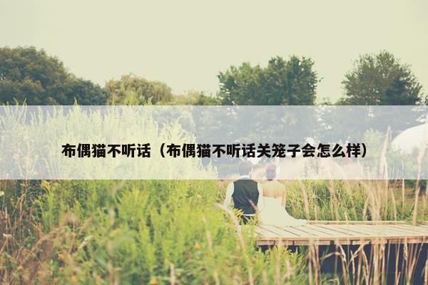 布偶猫不听话（布偶猫不听话关笼子会怎么样）