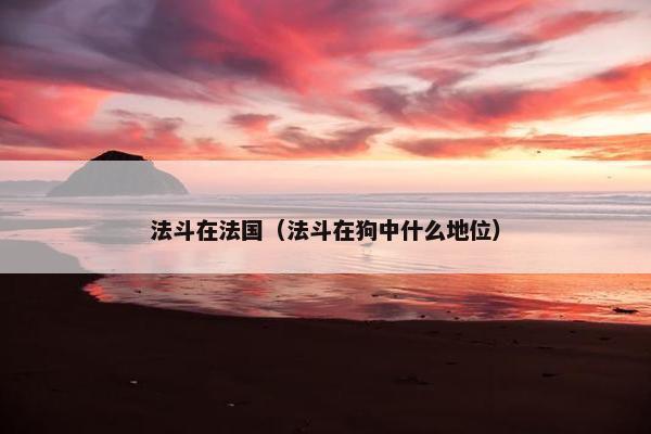 法斗在法国（法斗在狗中什么地位）