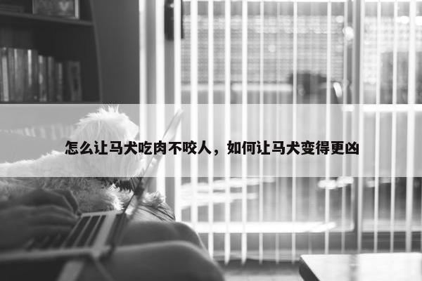 怎么让马犬吃肉不咬人，如何让马犬变得更凶