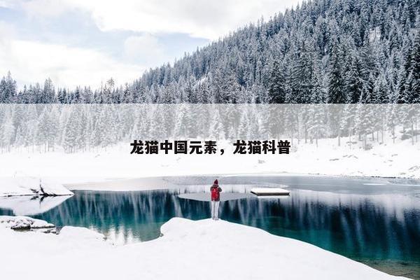 龙猫中国元素，龙猫科普
