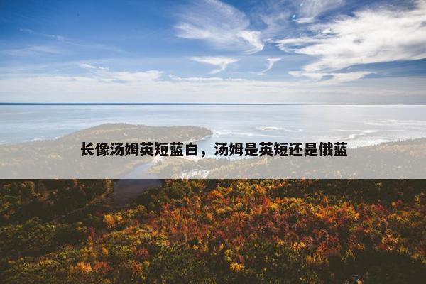 长像汤姆英短蓝白，汤姆是英短还是俄蓝