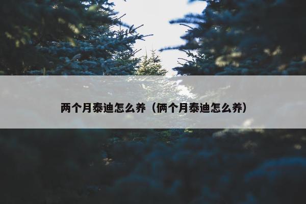 两个月泰迪怎么养（俩个月泰迪怎么养）