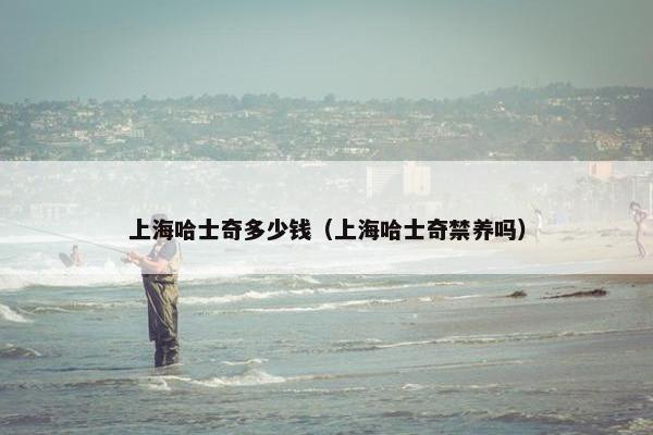 上海哈士奇多少钱（上海哈士奇禁养吗）