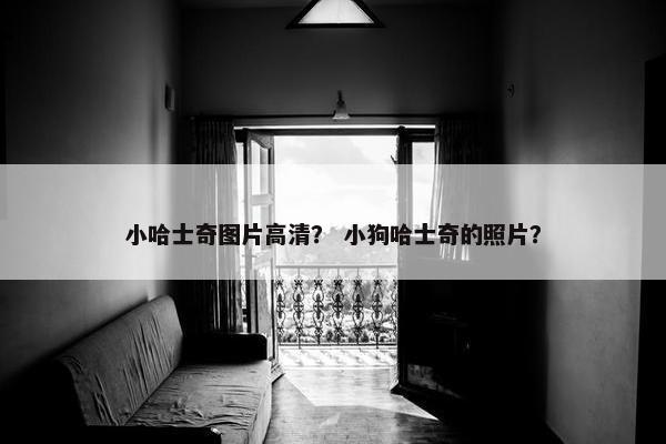 小哈士奇图片高清？ 小狗哈士奇的照片？