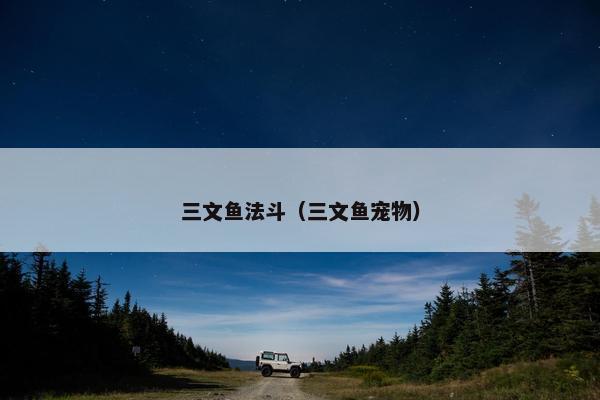 三文鱼法斗（三文鱼宠物）