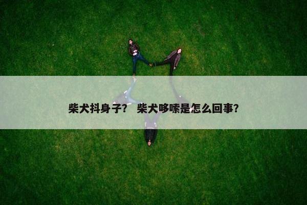 柴犬抖身子？ 柴犬哆嗦是怎么回事？