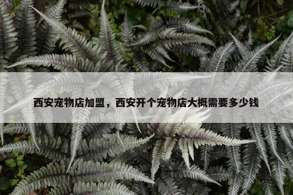 西安宠物店加盟，西安开个宠物店大概需要多少钱