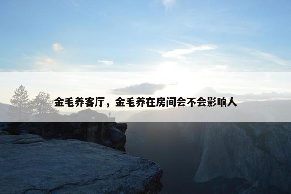 金毛养客厅，金毛养在房间会不会影响人