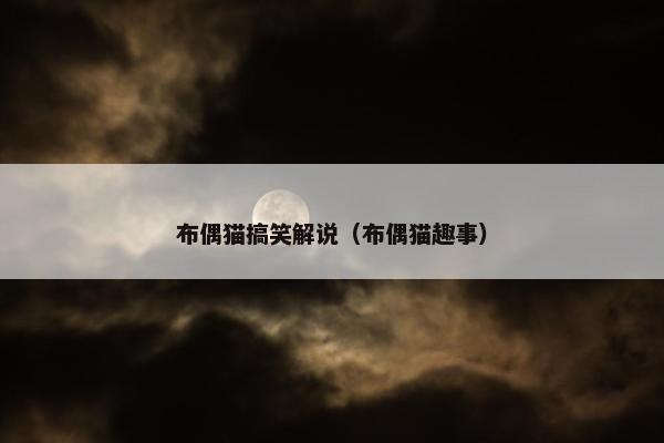 布偶猫搞笑解说（布偶猫趣事）