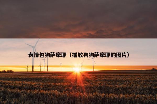 表情包狗萨摩耶（播放狗狗萨摩耶的图片）
