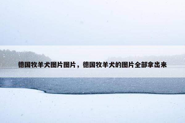 德国牧羊犬图片图片，德国牧羊犬的图片全部拿出来