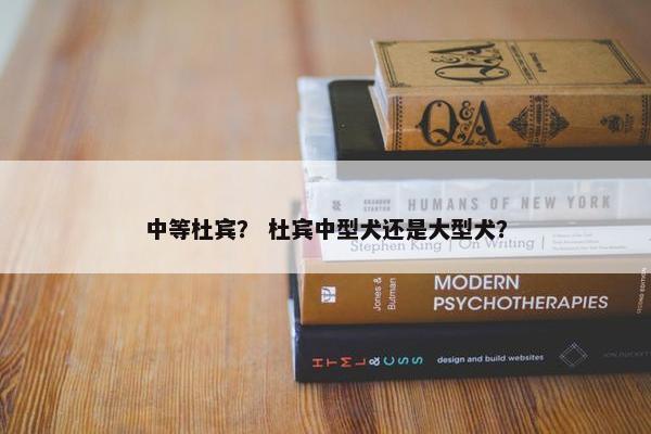 中等杜宾？ 杜宾中型犬还是大型犬？