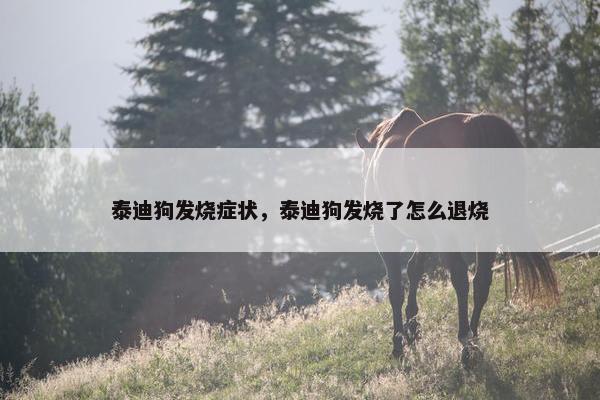 泰迪狗发烧症状，泰迪狗发烧了怎么退烧