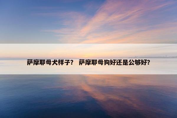 萨摩耶母犬样子？ 萨摩耶母狗好还是公够好？