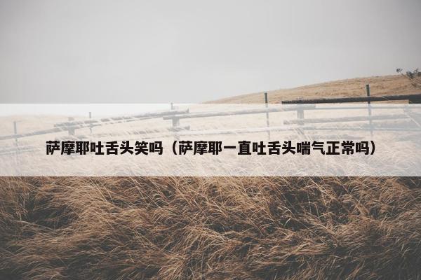 萨摩耶吐舌头笑吗（萨摩耶一直吐舌头喘气正常吗）