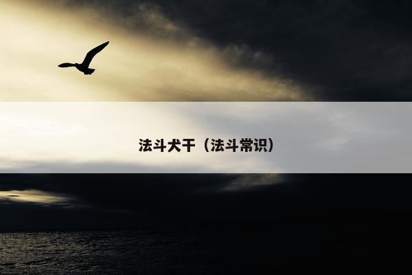 法斗犬干（法斗常识）