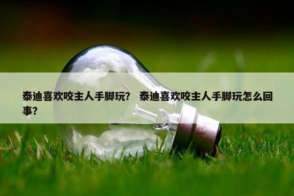 泰迪喜欢咬主人手脚玩？ 泰迪喜欢咬主人手脚玩怎么回事？