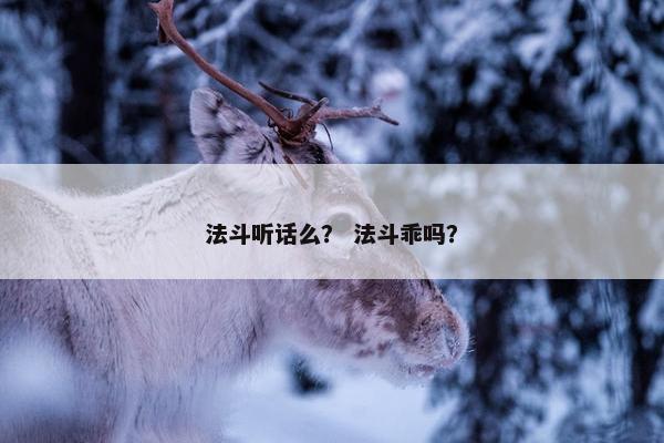 法斗听话么？ 法斗乖吗？
