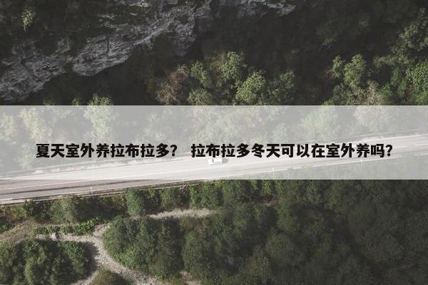 夏天室外养拉布拉多？ 拉布拉多冬天可以在室外养吗？