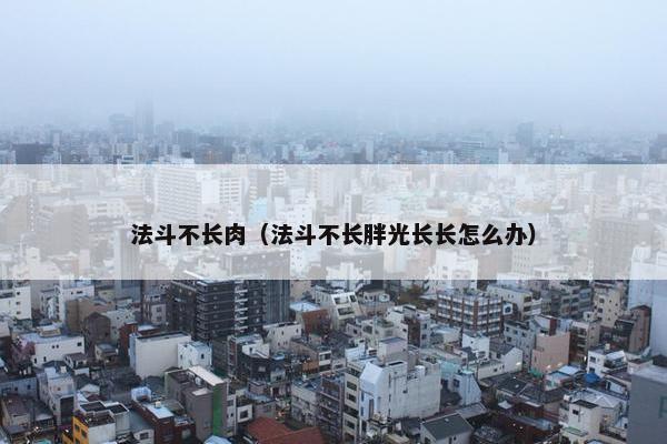 法斗不长肉（法斗不长胖光长长怎么办）