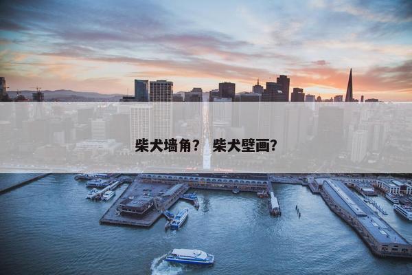 柴犬墙角？ 柴犬壁画？