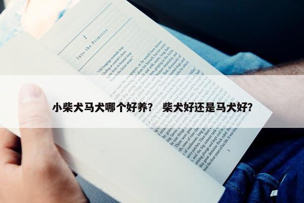 小柴犬马犬哪个好养？ 柴犬好还是马犬好？
