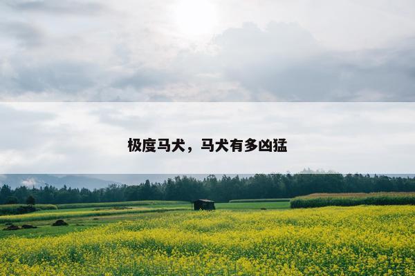 极度马犬，马犬有多凶猛