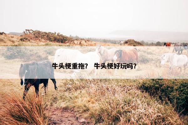 牛头梗重拖？ 牛头梗好玩吗？