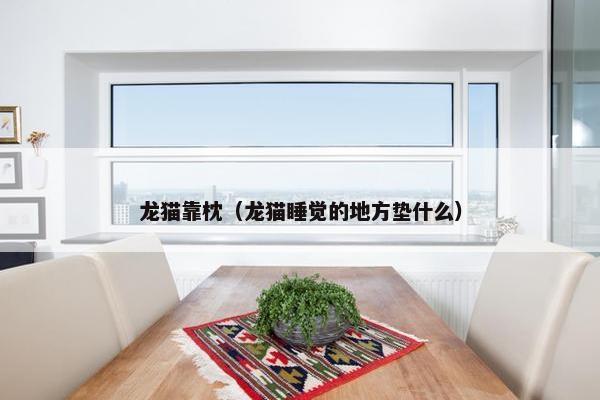 龙猫靠枕（龙猫睡觉的地方垫什么）