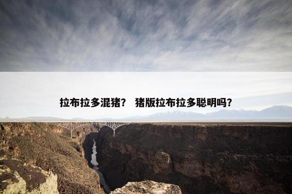 拉布拉多混猪？ 猪版拉布拉多聪明吗？