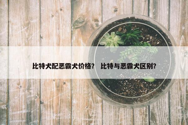 比特犬配恶霸犬价格？ 比特与恶霸犬区别？