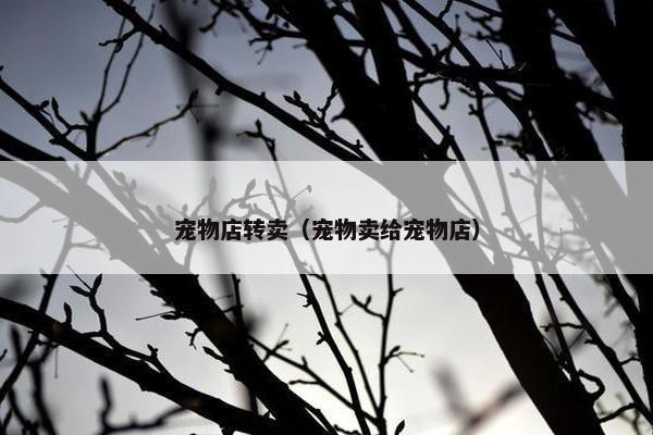宠物店转卖（宠物卖给宠物店）