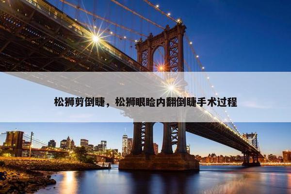 松狮剪倒睫，松狮眼睑内翻倒睫手术过程