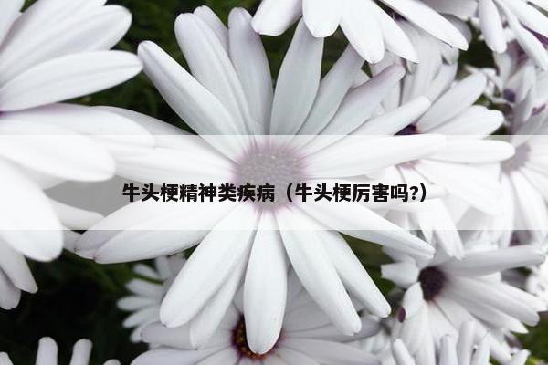 牛头梗精神类疾病（牛头梗厉害吗?）
