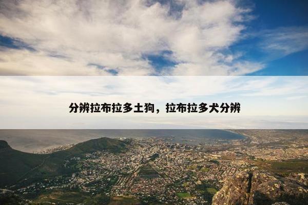 分辨拉布拉多土狗，拉布拉多犬分辨