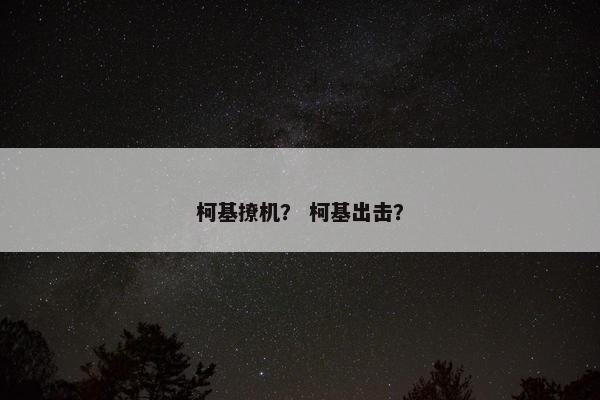 柯基撩机？ 柯基出击？