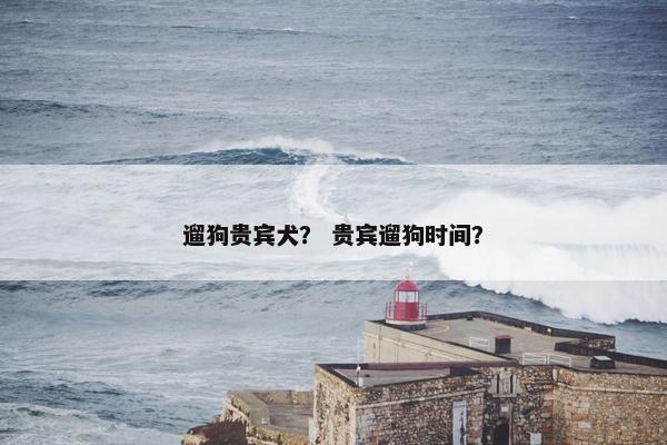 遛狗贵宾犬？ 贵宾遛狗时间？