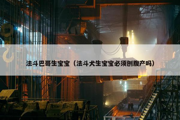 法斗巴哥生宝宝（法斗犬生宝宝必须刨腹产吗）