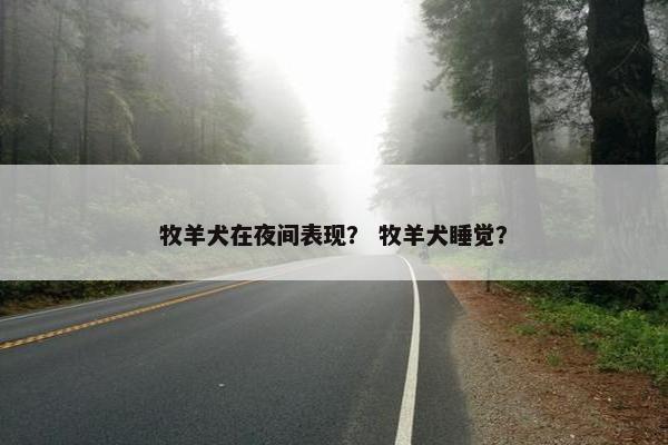 牧羊犬在夜间表现？ 牧羊犬睡觉？