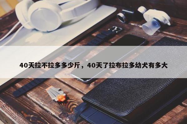 40天拉不拉多多少斤，40天了拉布拉多幼犬有多大