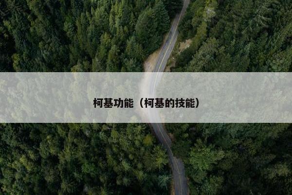 柯基功能（柯基的技能）