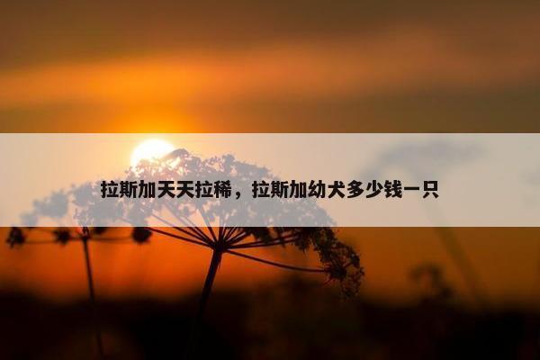 拉斯加天天拉稀，拉斯加幼犬多少钱一只